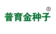 普育金种子