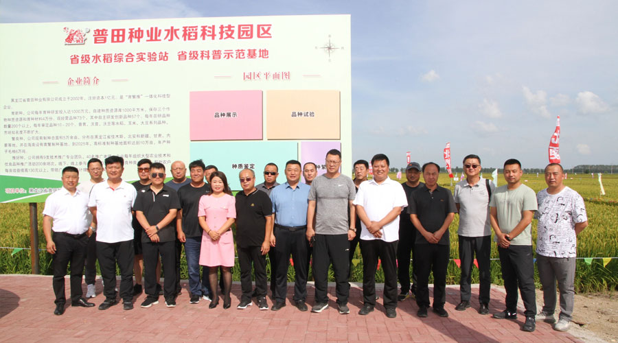 垦丰种业牡丹江区域公司总经理王勇一行莅临尊龙凯时农科院水稻科技园区参观