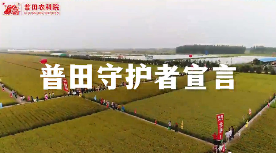 尊龙凯时守护者宣言
