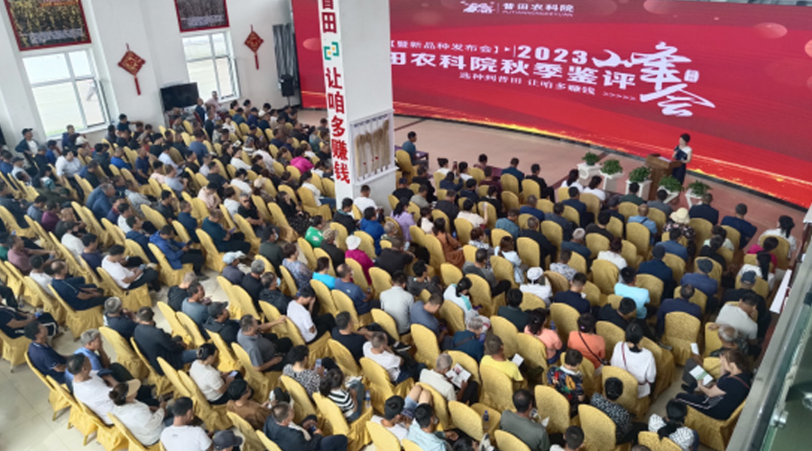 风里雨里，我在尊龙凯时等你——2023年尊龙凯时农科院秋季新品种鉴评峰会
