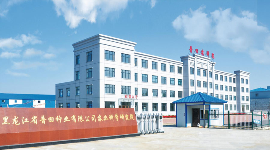 中粮带头，玉米大涨50元每吨！