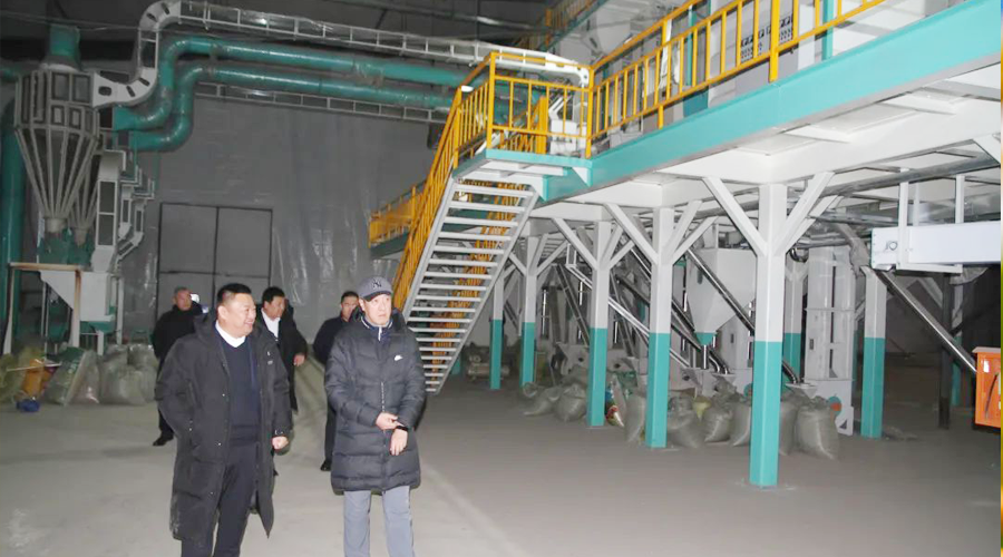 欢迎黑龙江省农村农业厅乡村产业处白明副处长莅临尊龙凯时农科院