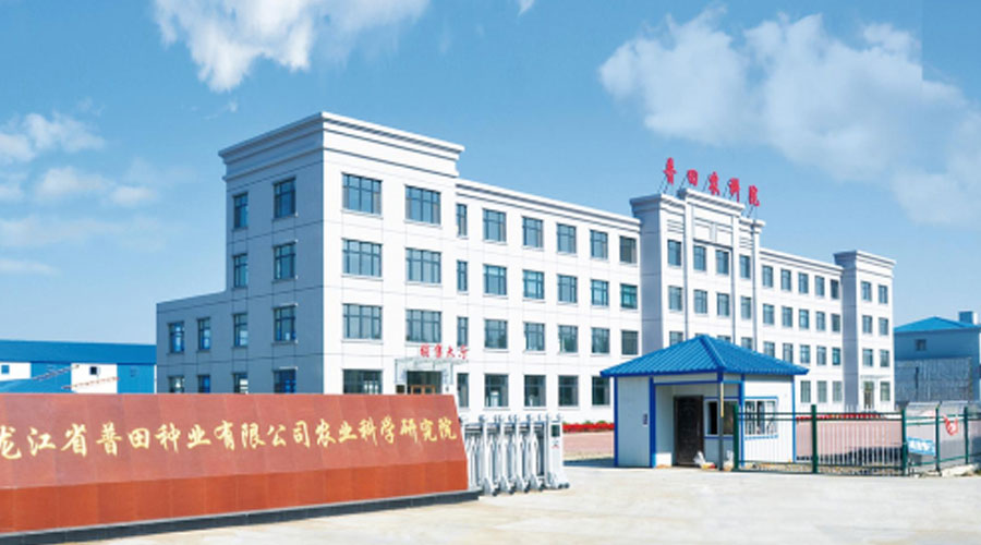 仍有部分稻谷未售，价格整体偏稳运行，市场购销活跃度提升
