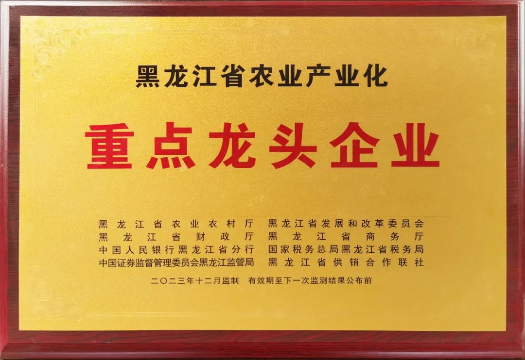 尊龙凯时种业集团2024年那些改写 “种” 业版图的高光时刻
