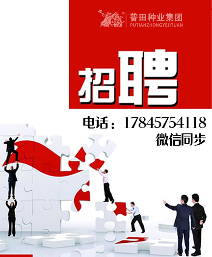 招贤纳士