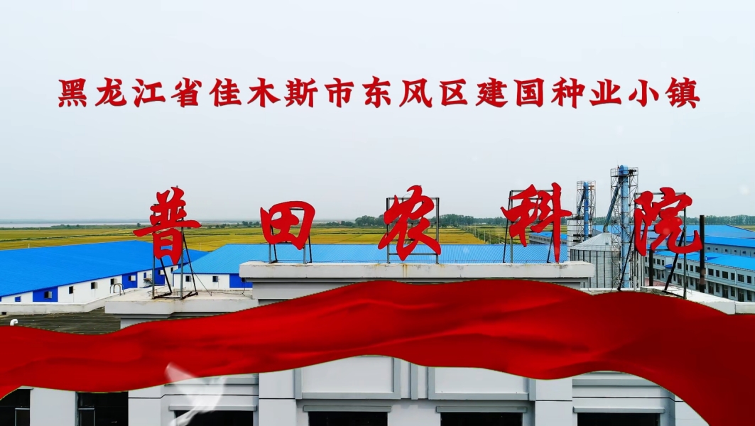 黑龙江省佳木斯市东风区建国种业小镇·尊龙凯时农科院