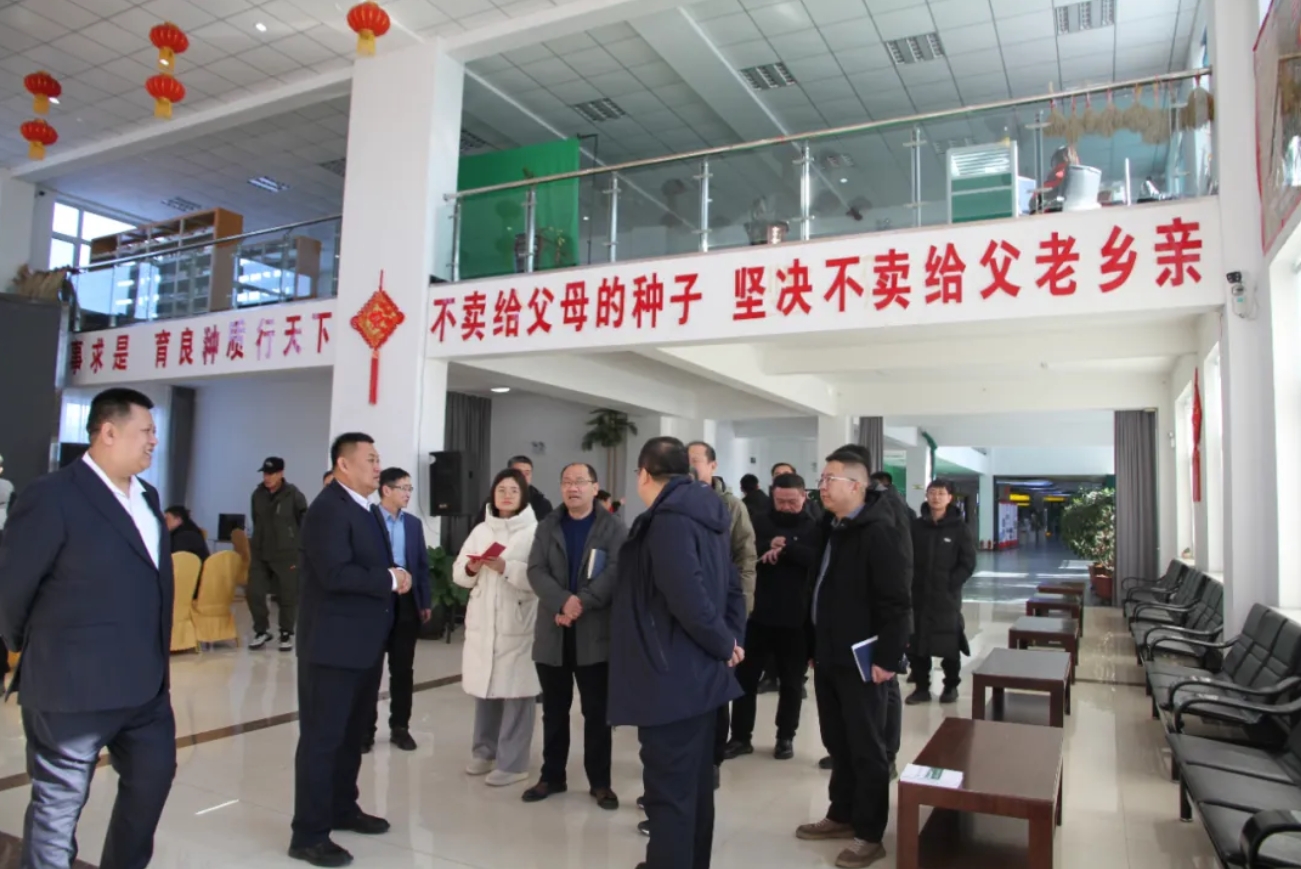 农业农村部调研组莅临尊龙凯时种业集团调研指导